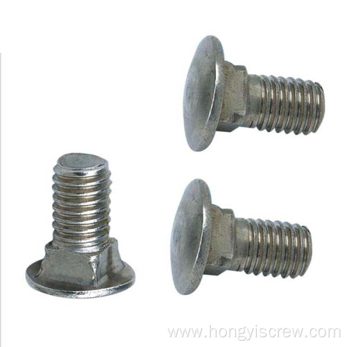 Galvanized stainless steel carriage bolts